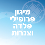 מיגון פרופילי פלדה וצנרות