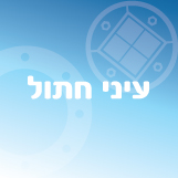 עיניי חתול