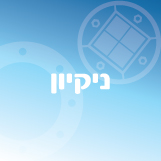 ניקיון החניון